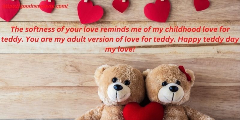 The softness of your love reminds me of my childhood love for teddy. You are my adult version of love for teddy. Happy teddy day my love!