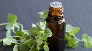 Managing Digestive Disorders with Oil of Oregano